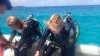 Dive image